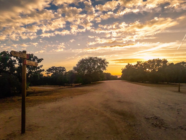 LRM_EXPORT_66006351245827_20190624_225953593